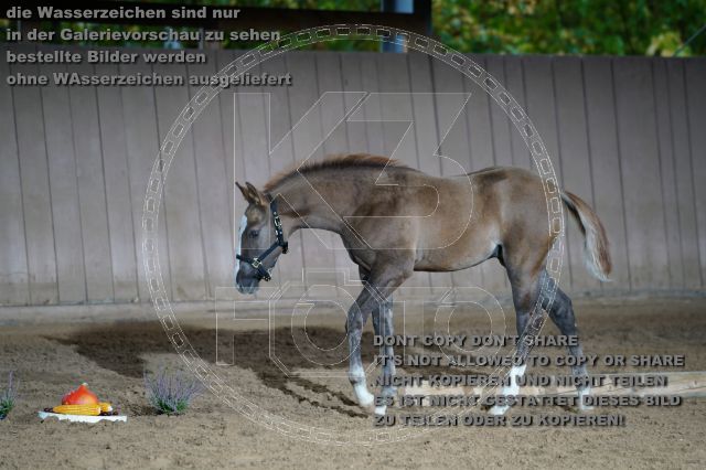 s_K3F04785.JPG